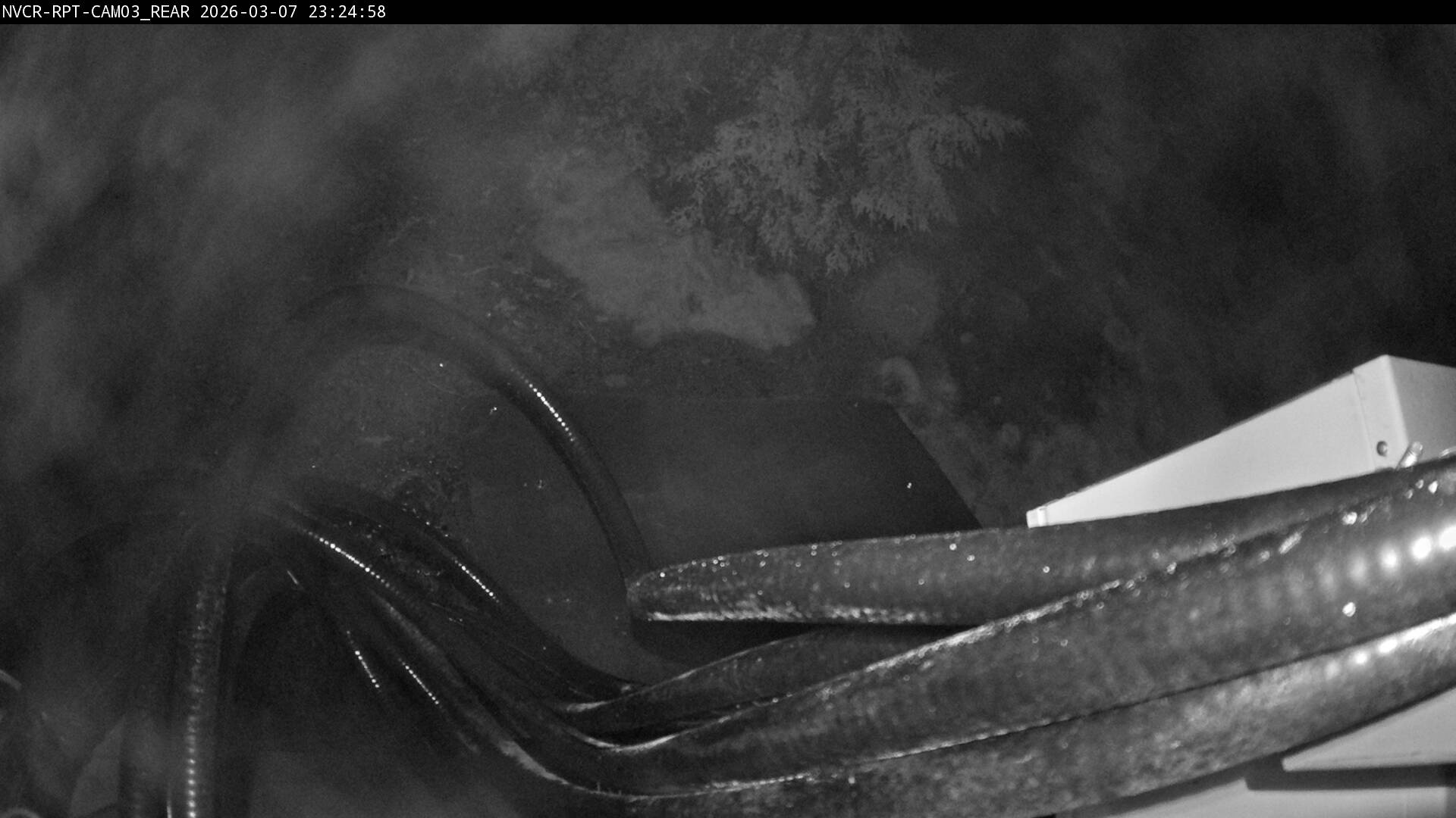 Web Cam History Image - 621