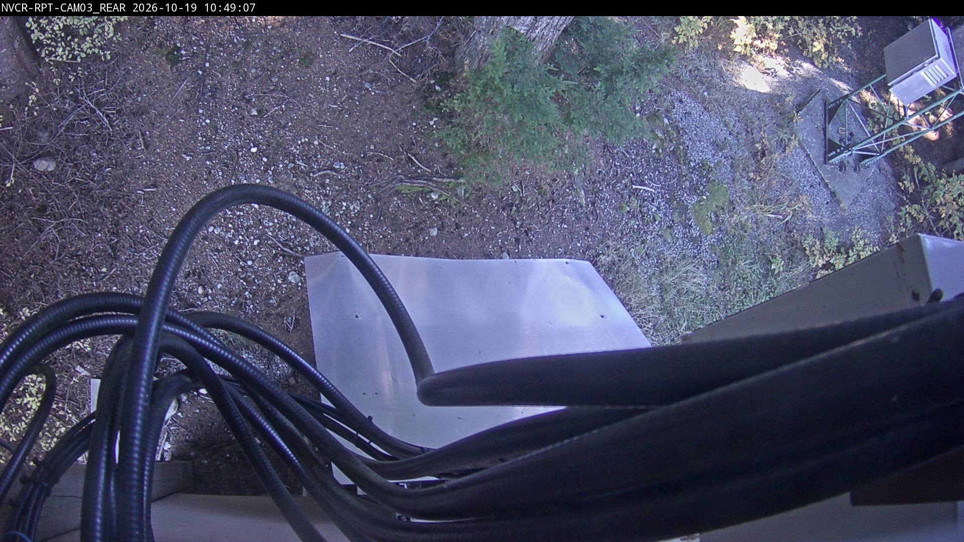 Web Cam History Image - 621