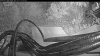 Web Cam Image - Tue, 10/13/2026 5:10pm PDT