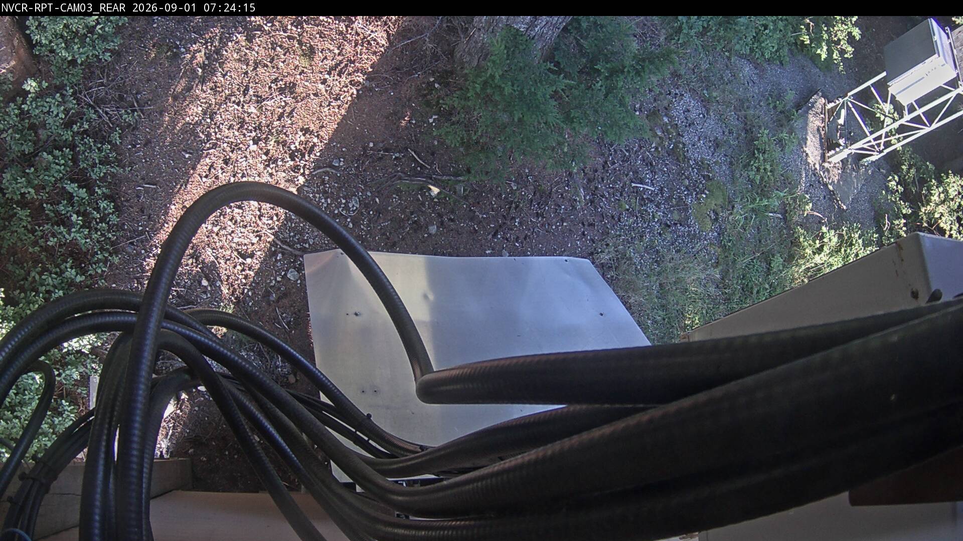 Web Cam History Image - 623