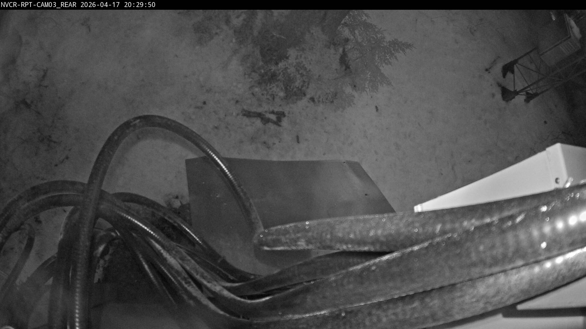 Web Cam History Image - 624