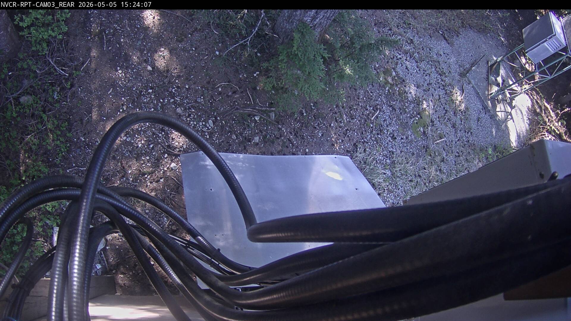Web Cam History Image - 625