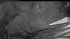 Web Cam Image - Sun, 04/27/2025 10:09am PDT