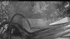 Web Cam Image - Sun, 05/17/2026 4:29am PDT