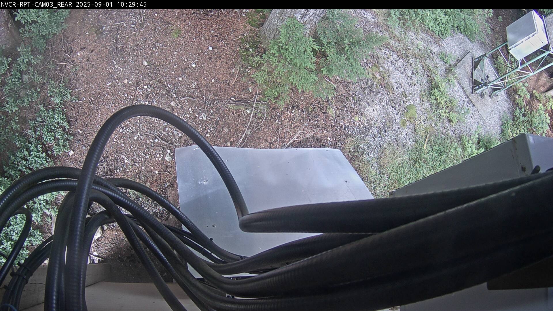 Web Cam History Image - 626