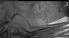 Web Cam Image - Sun, 04/27/2025 10:04am PDT