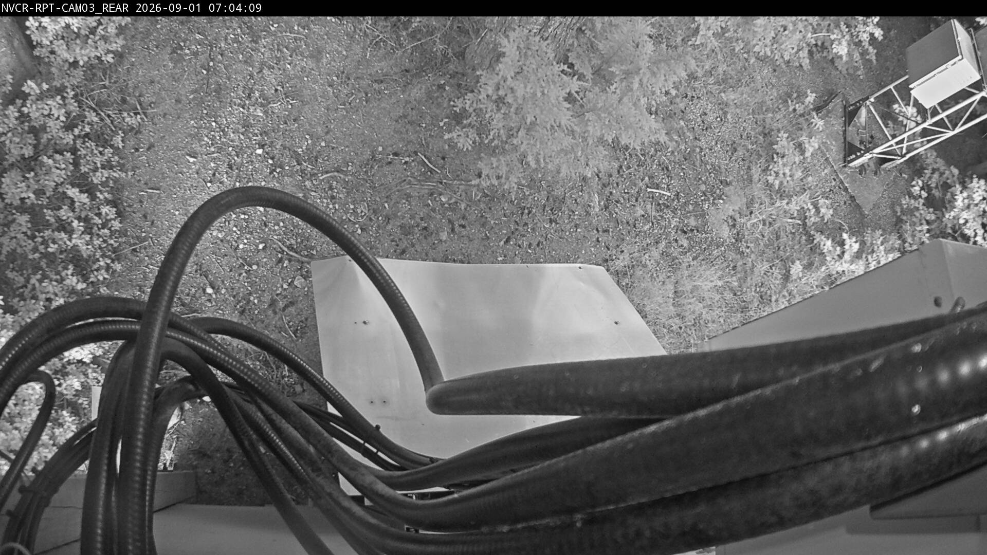 Web Cam History Image - 627