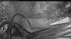 Web Cam Image - Wed, 05/20/2026 3:59am PDT