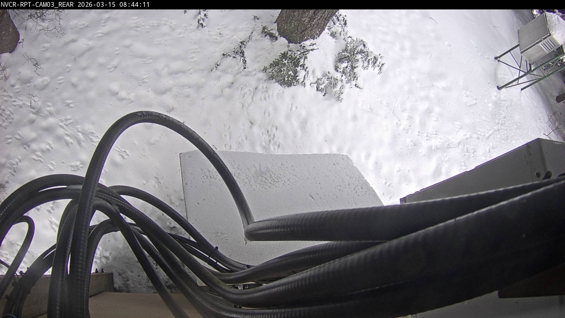 Web Cam History Image - 628