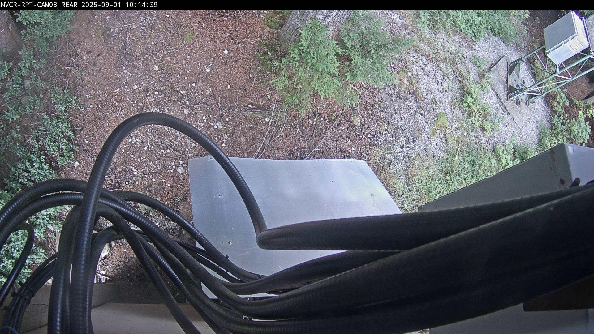 Web Cam History Image - 629