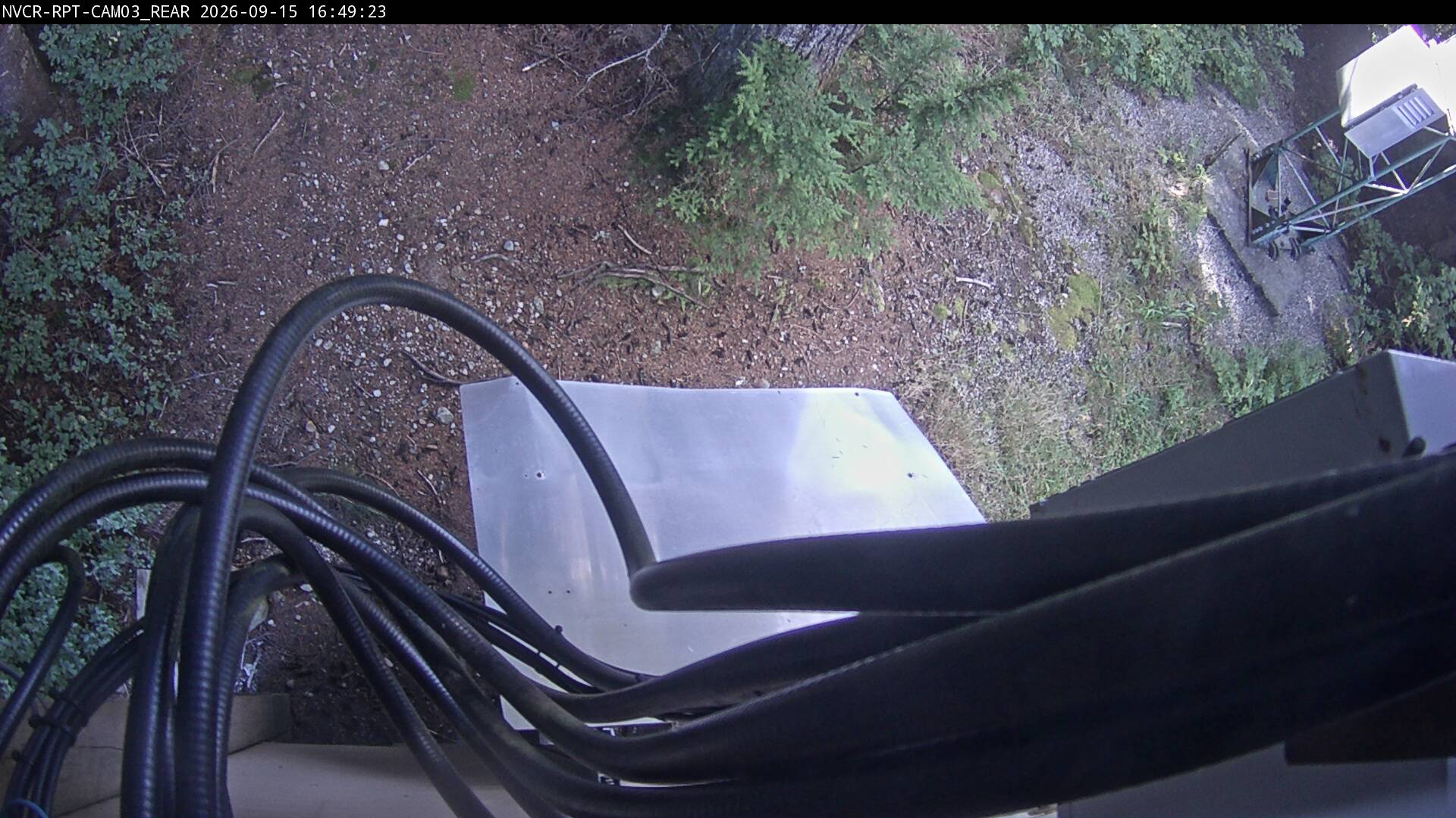 Web Cam History Image - 631