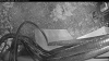 Web Cam Image - Thu, 05/14/2026 4:54am PDT