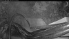Web Cam Image - Sat, 08/15/2026 7:29pm PDT