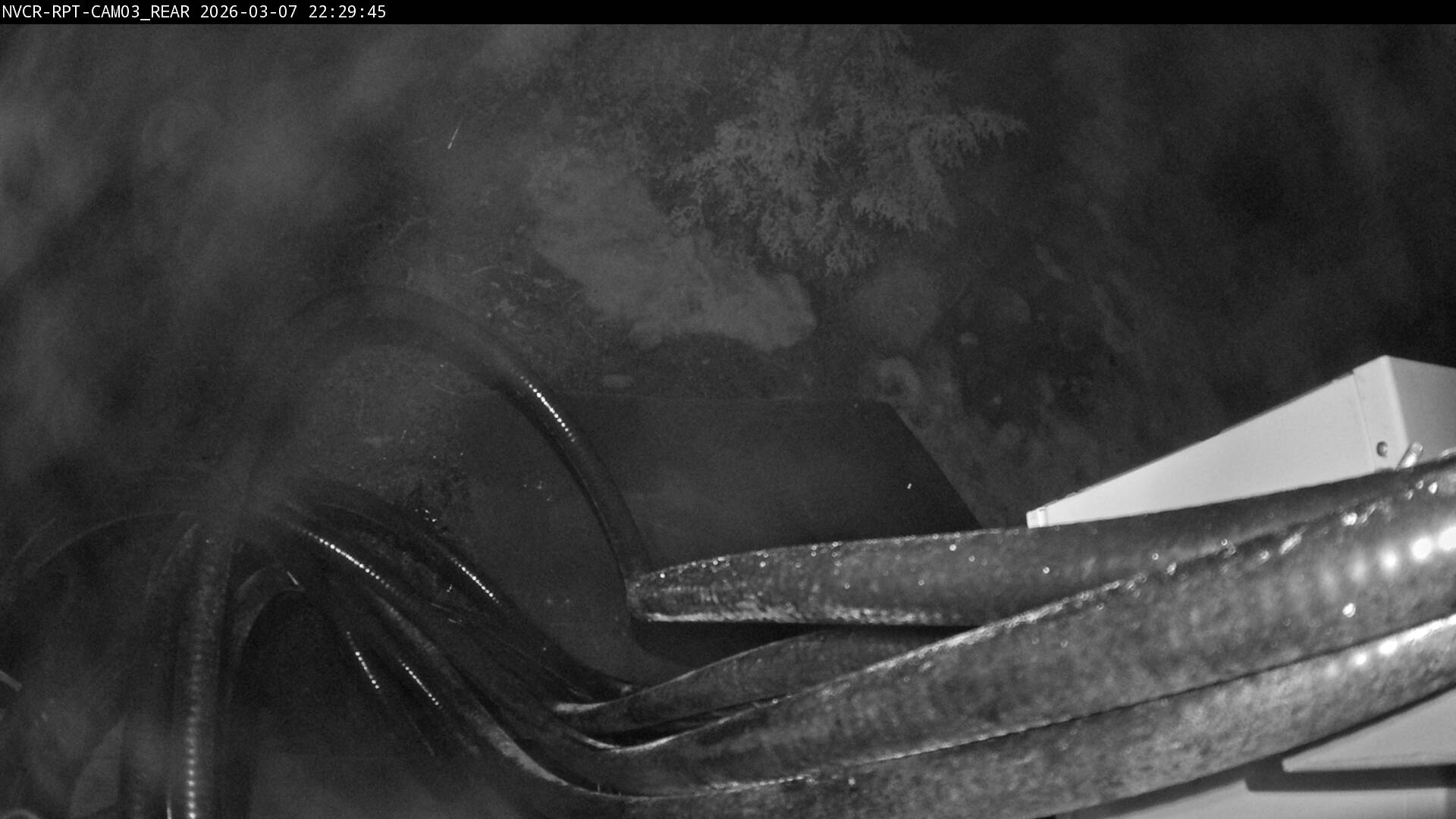 Web Cam History Image - 632