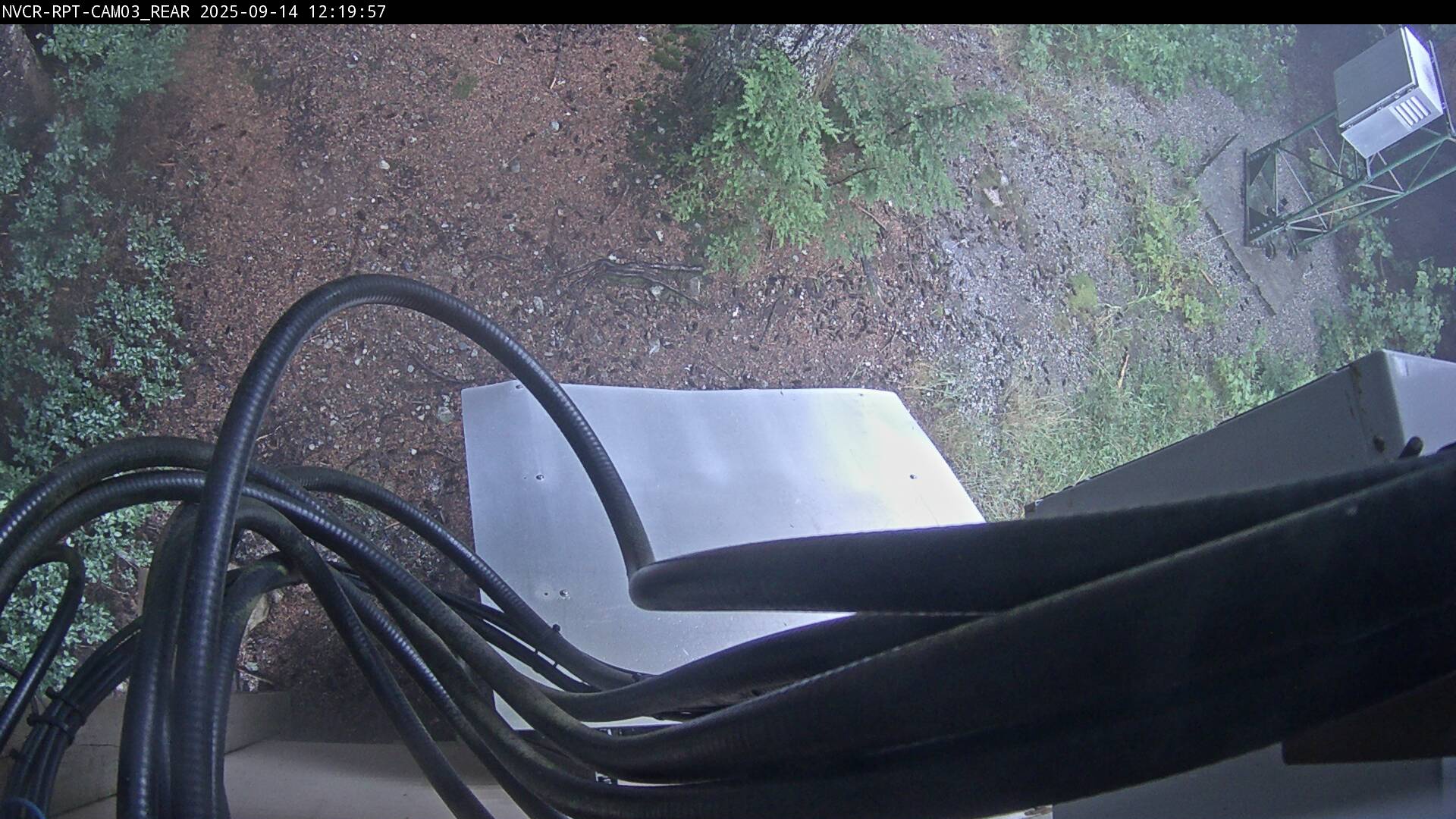 Web Cam History Image - 634