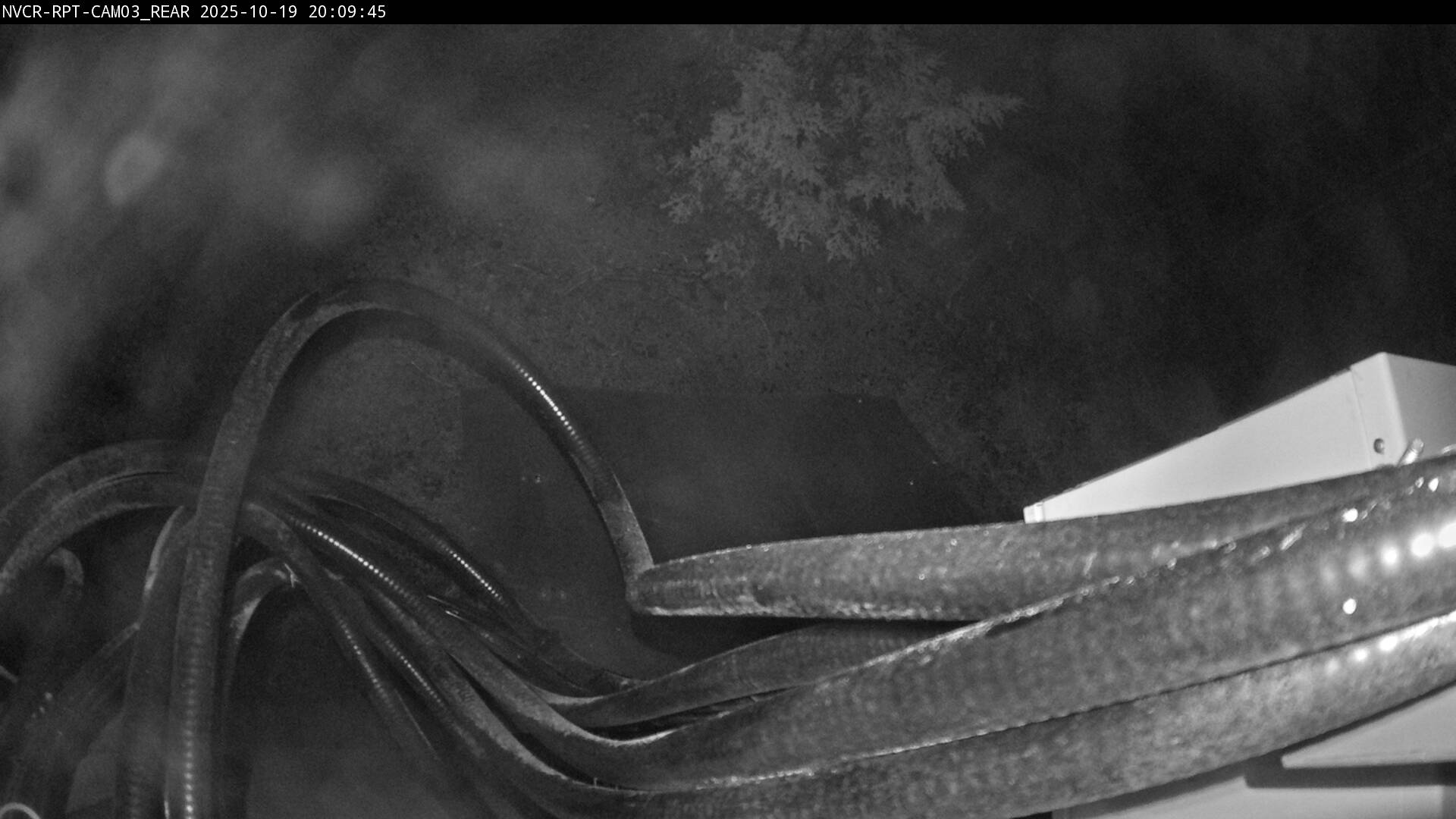 Web Cam History Image - 635