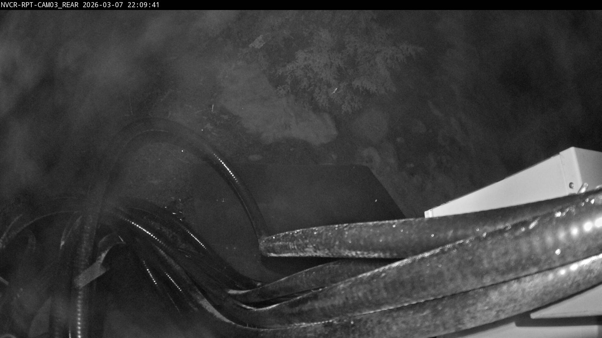 Web Cam History Image - 636