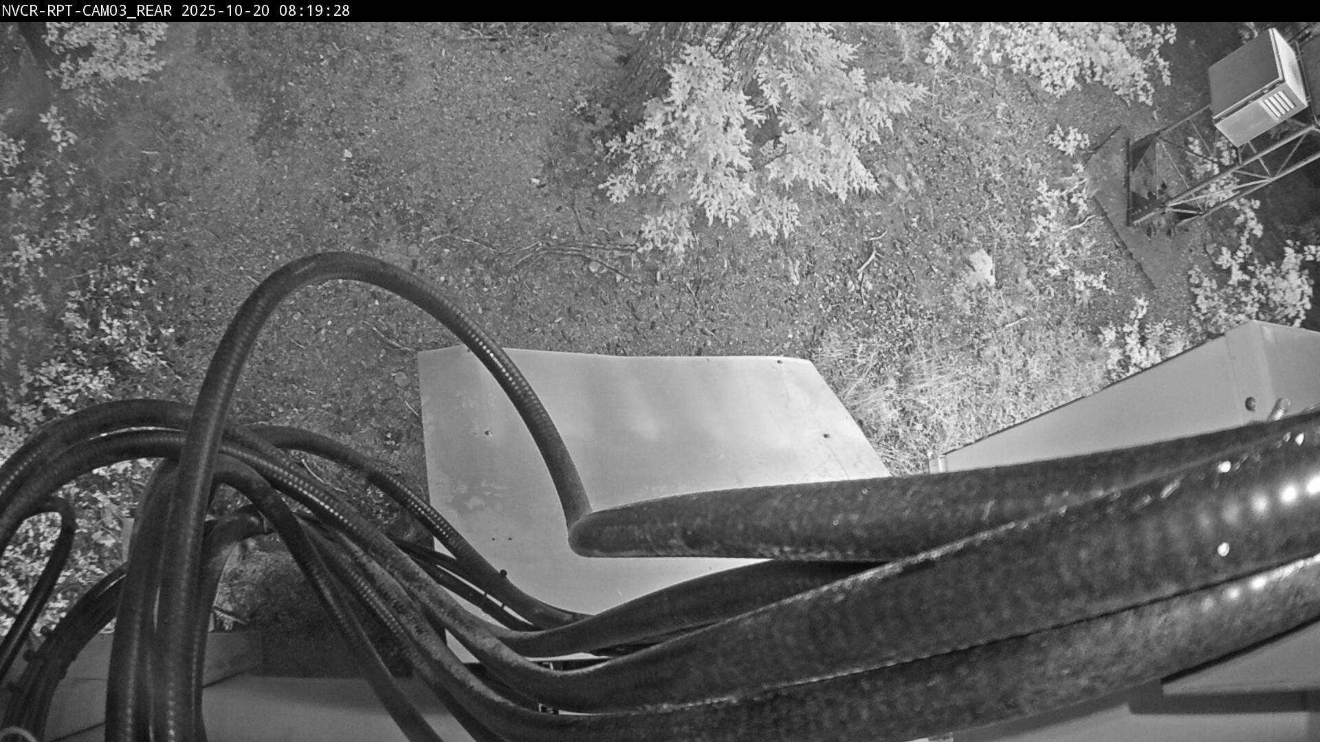 Web Cam History Image - 637