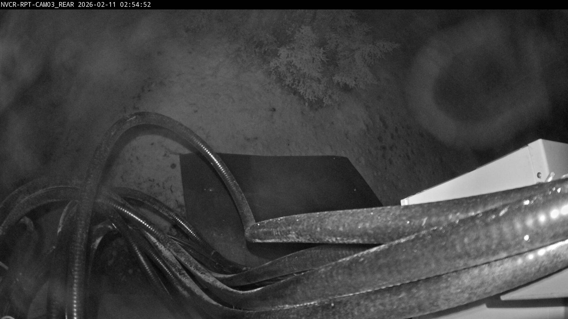 Web Cam History Image - 638