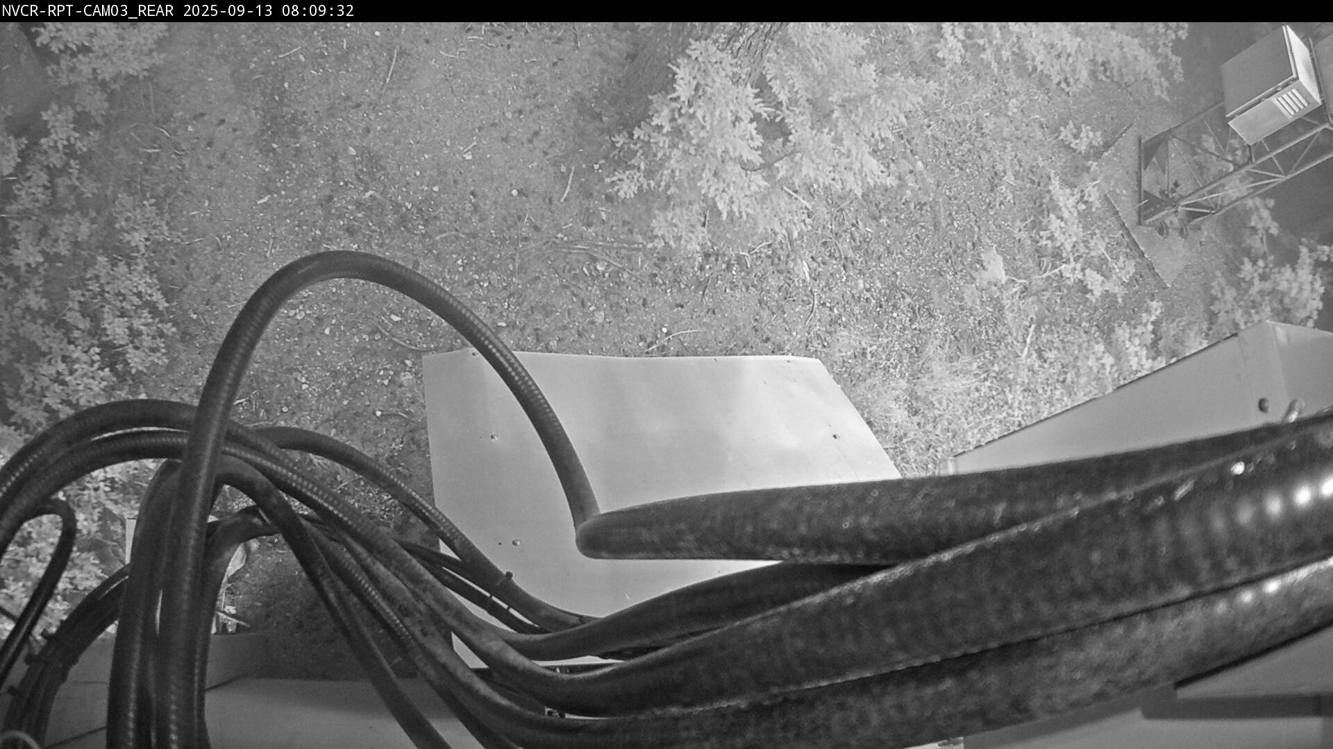 Web Cam History Image - 639