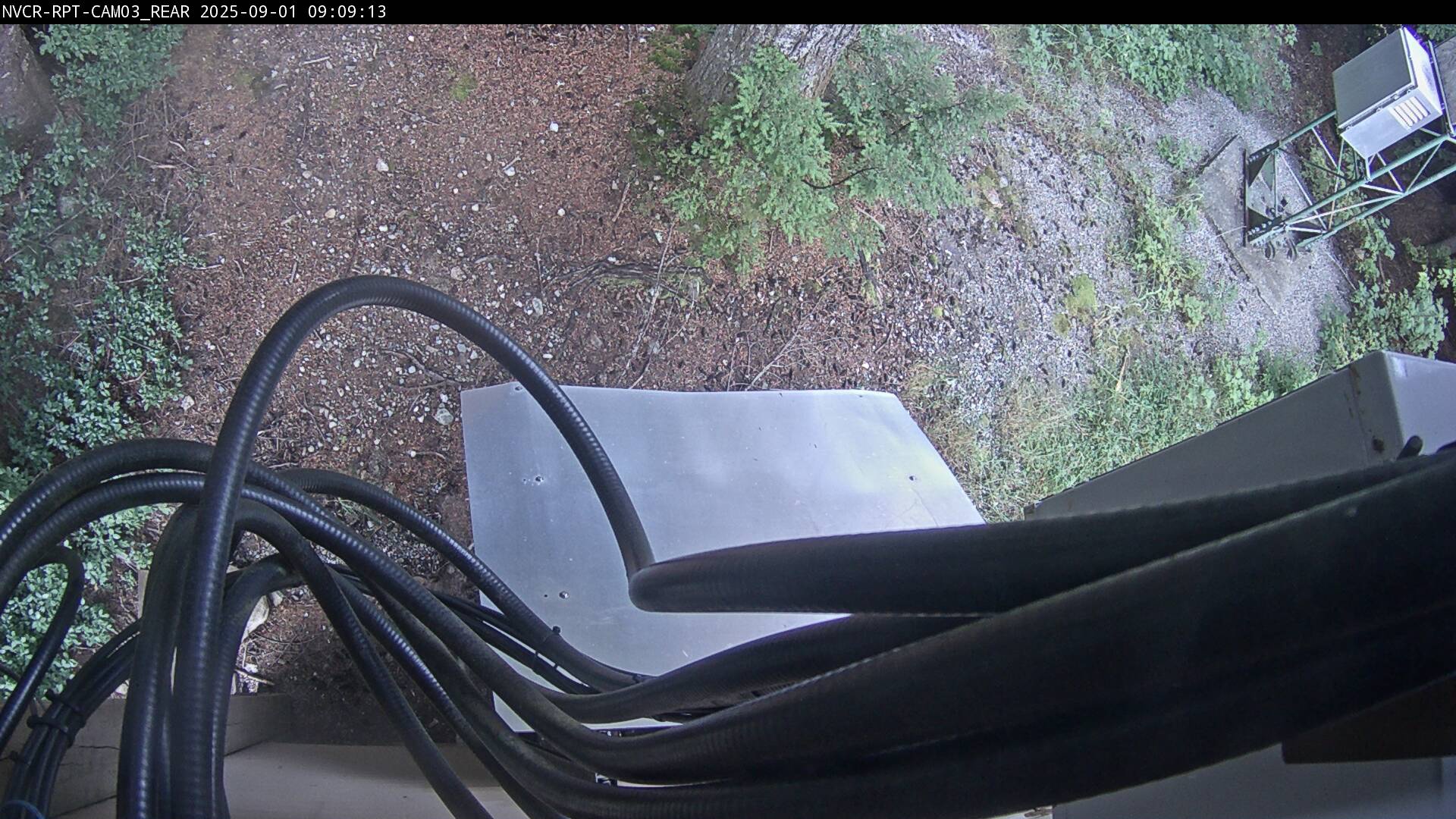 Web Cam History Image - 640