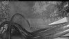 Web Cam Image - Thu, 08/06/2026 4:39am PDT