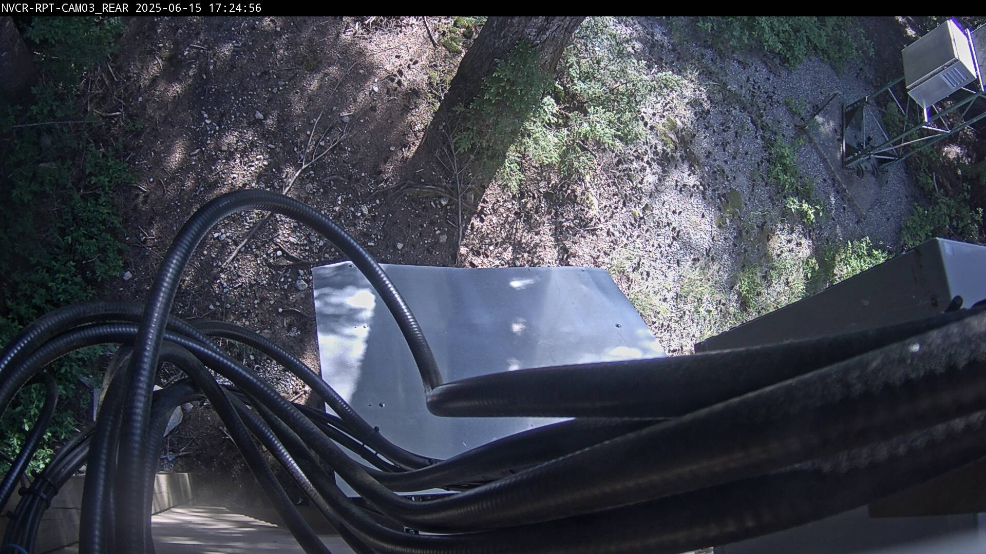 Web Cam History Image - 65