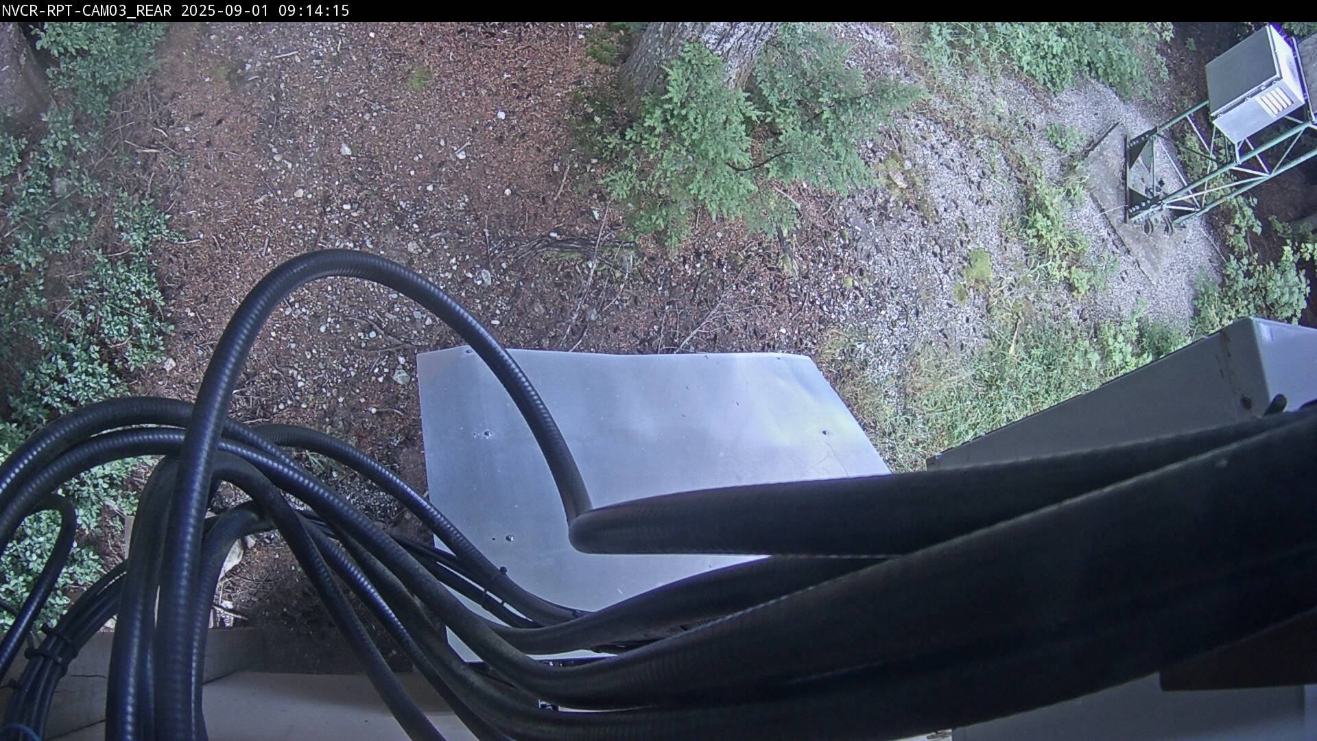 Web Cam History Image - 642