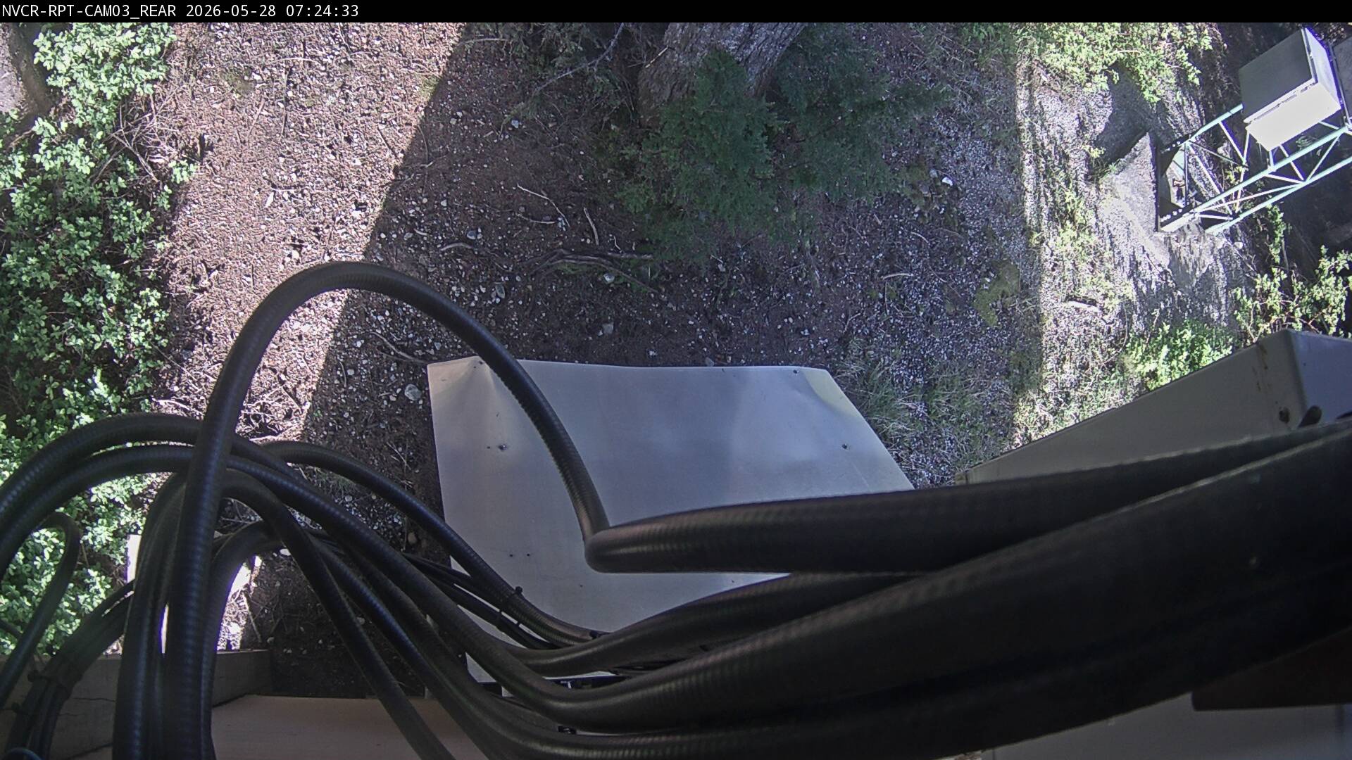 Web Cam History Image - 642
