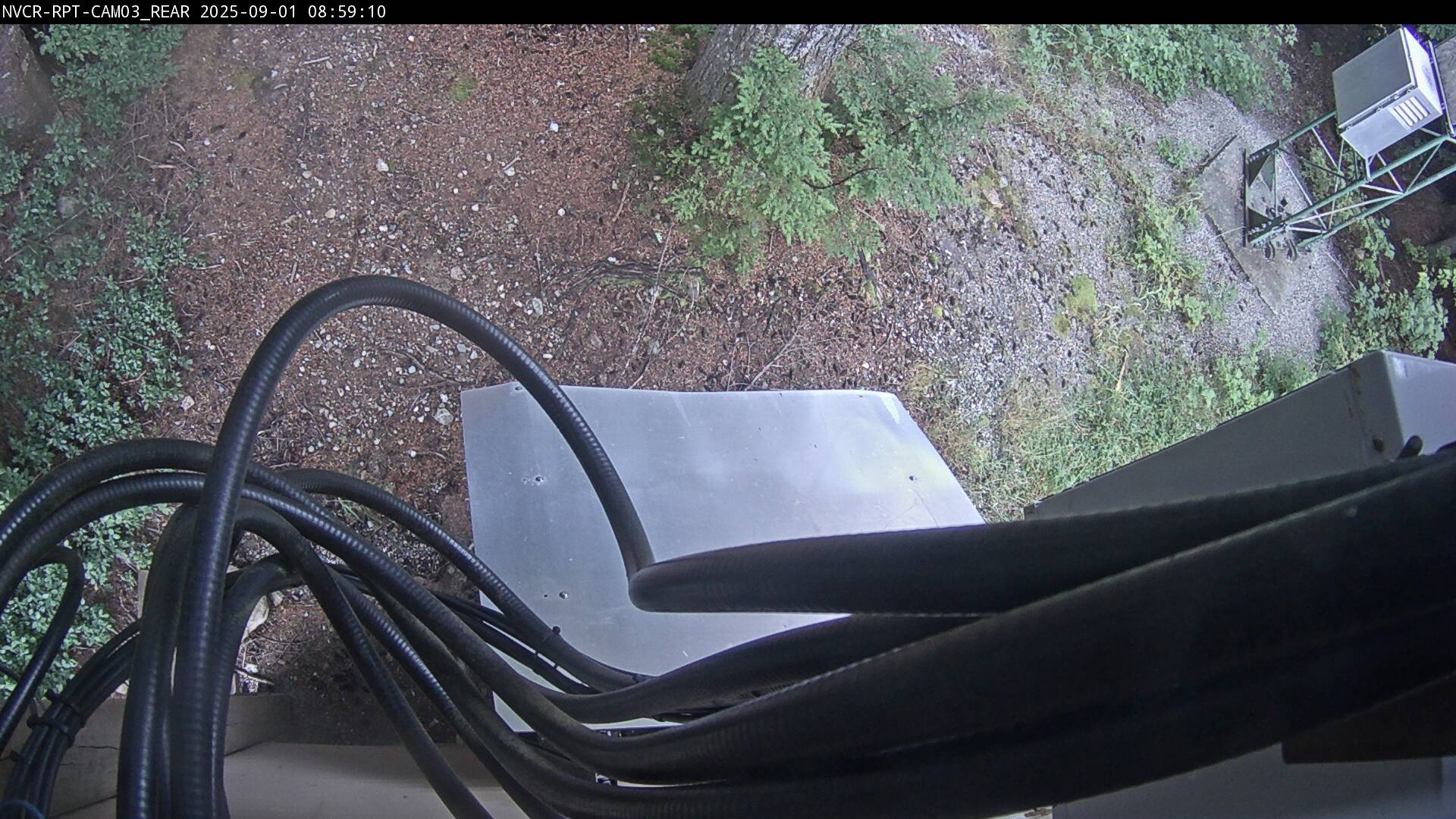 Web Cam History Image - 644