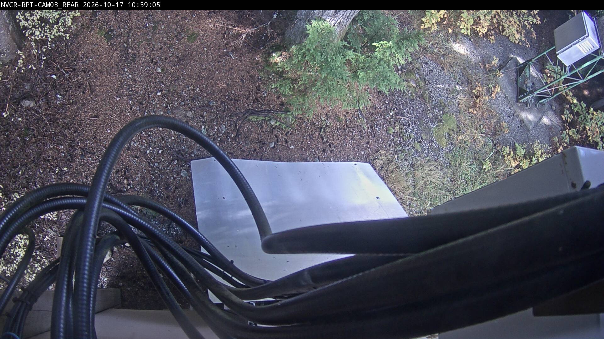 Web Cam History Image - 644