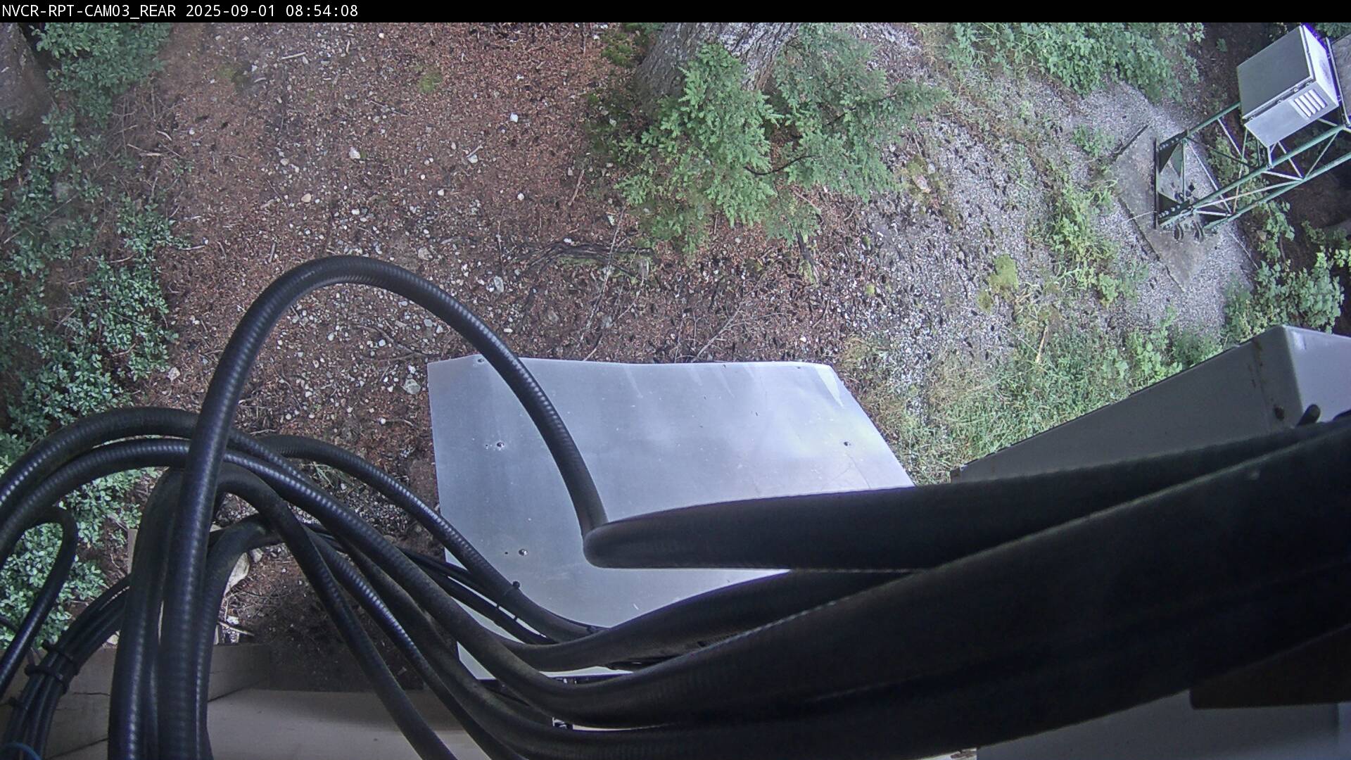 Web Cam History Image - 645