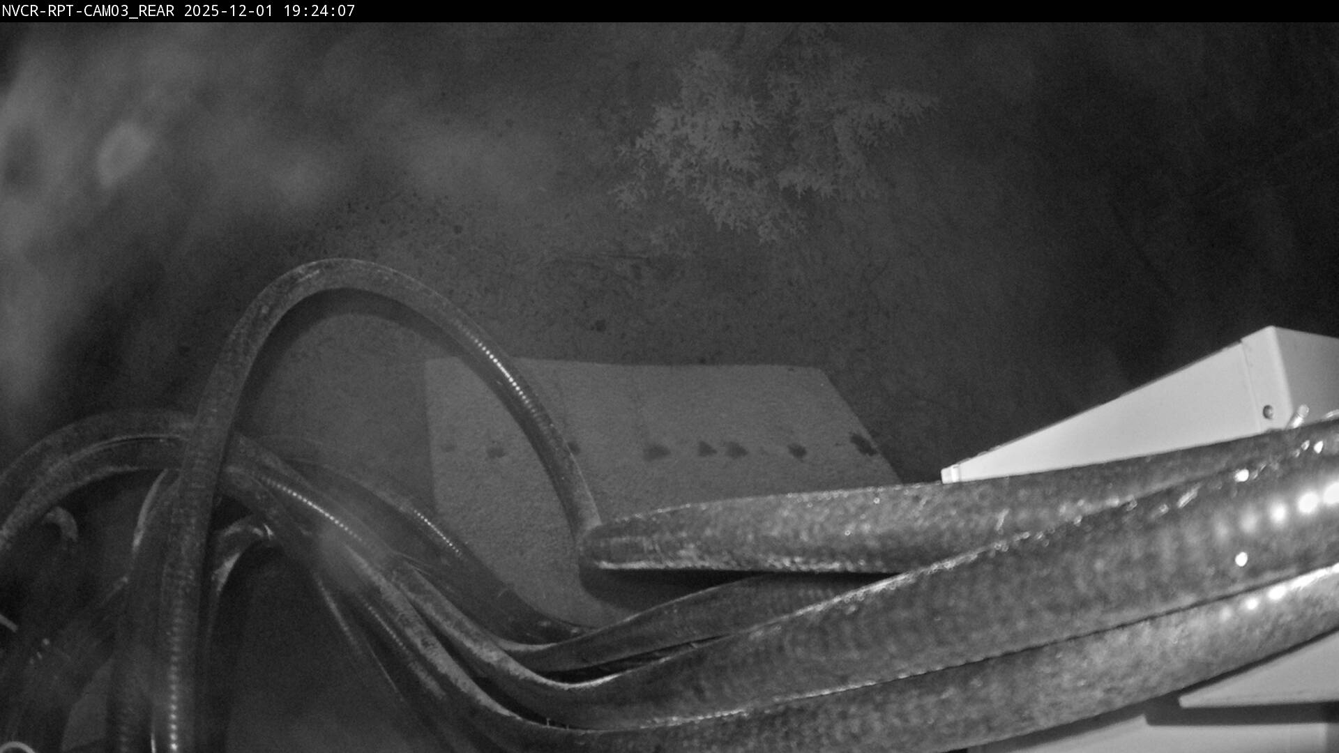 Web Cam History Image - 645