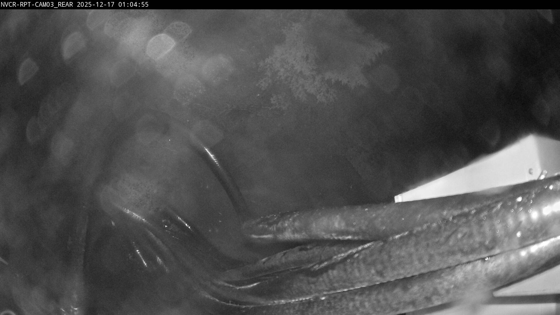 Web Cam History Image - 645