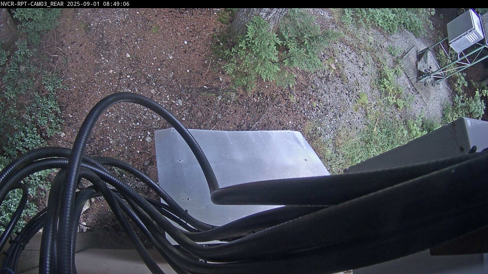 Web Cam History Image - 646