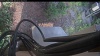 Web Cam Image - Wed, 07/22/2026 5:29am PDT