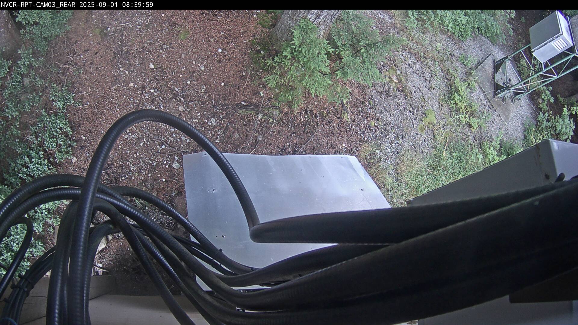 Web Cam History Image - 649
