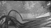 Web Cam Image - Tue, 05/05/2026 4:09am PDT
