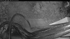Web Cam Image - Sun, 05/24/2026 7:49pm PDT