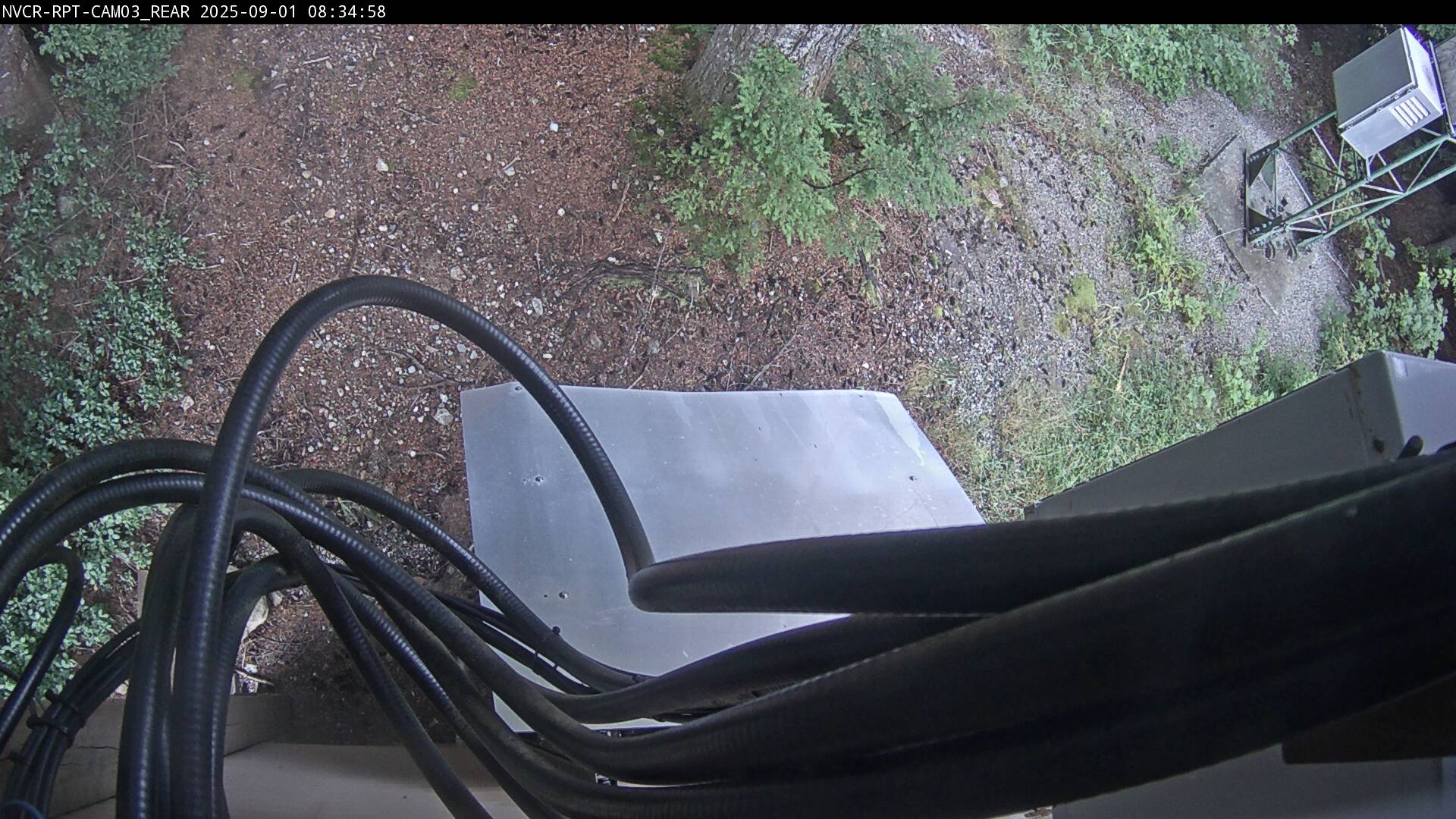 Web Cam History Image - 650