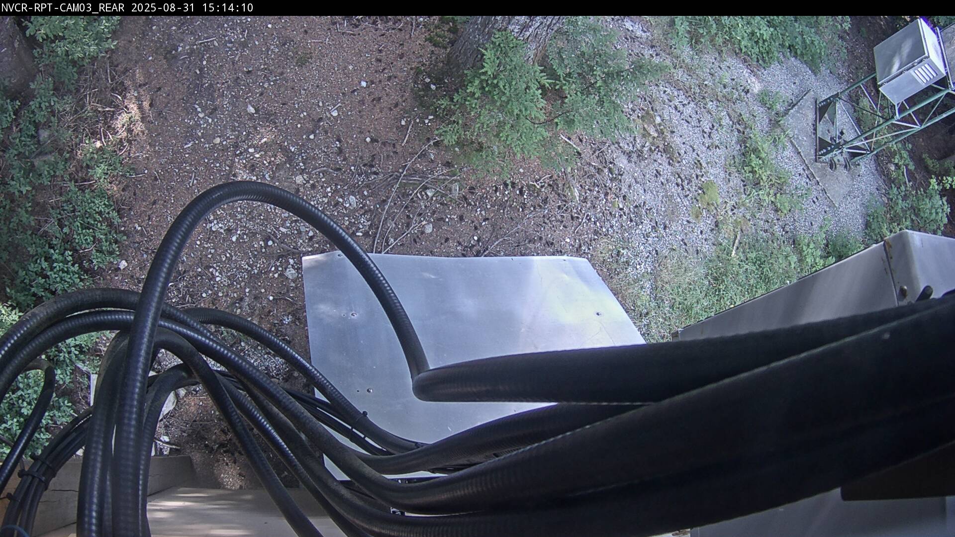 Web Cam History Image - 66