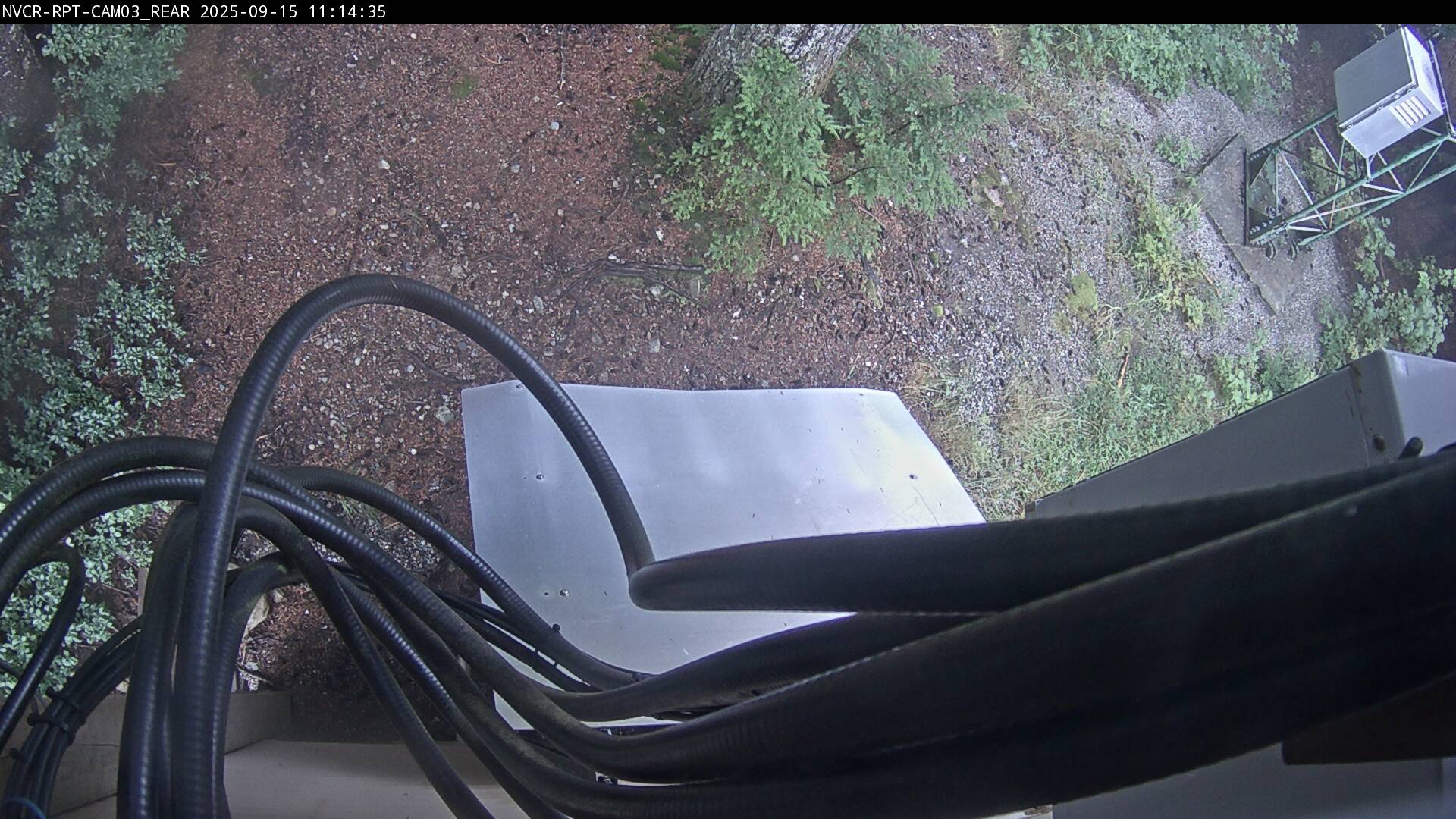 Web Cam History Image - 66