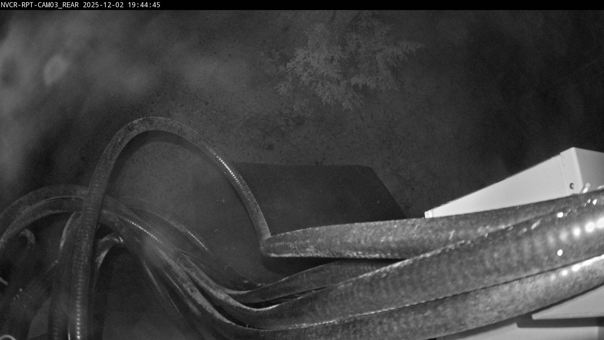 Web Cam History Image - 66