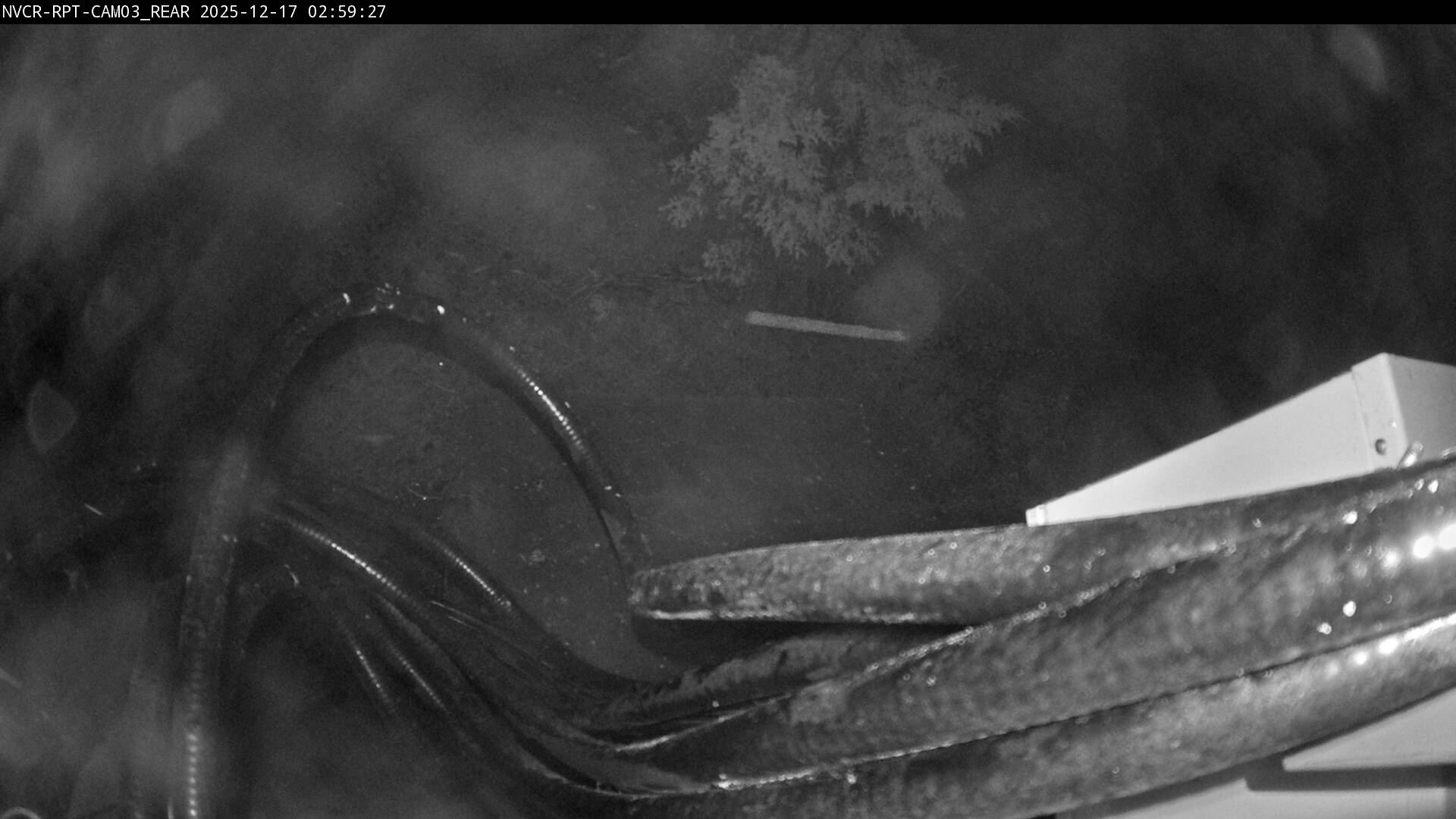 Web Cam History Image - 66