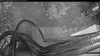 Web Cam Image - Tue, 05/05/2026 4:04am PDT