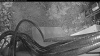 Web Cam Image - Sat, 05/23/2026 3:54am PDT