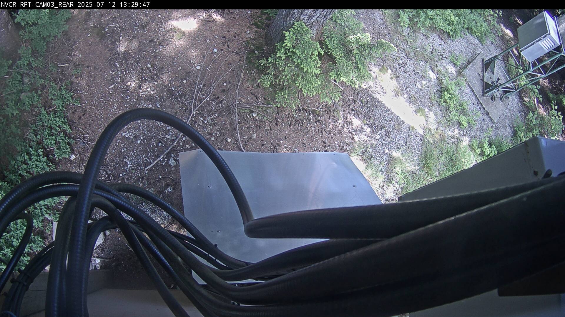 Web Cam History Image - 651