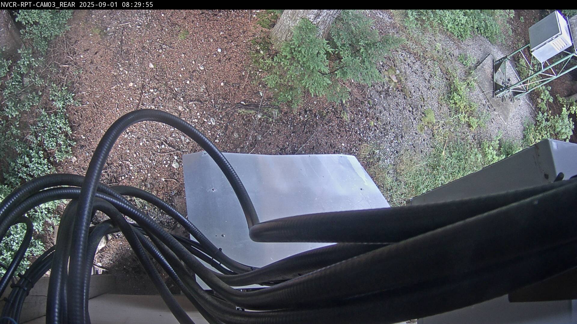 Web Cam History Image - 651