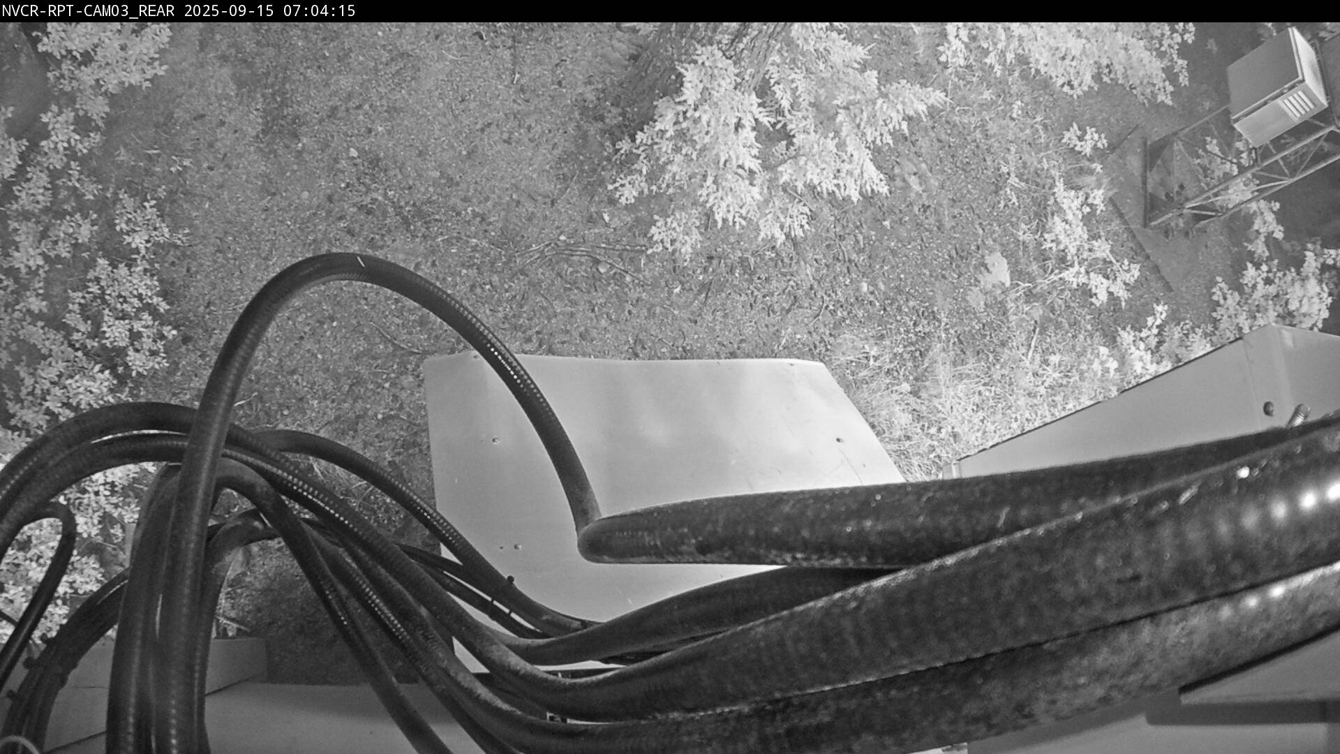 Web Cam History Image - 651