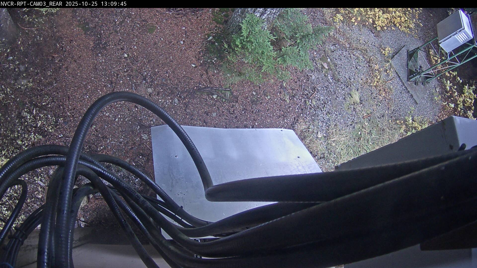 Web Cam History Image - 651